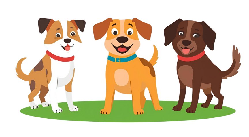 Workday Wags Policies